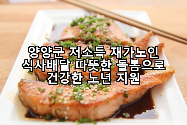 양양군 저소득 재가노인 식사배달 따뜻한 돌봄으로 건강한 노년 지원