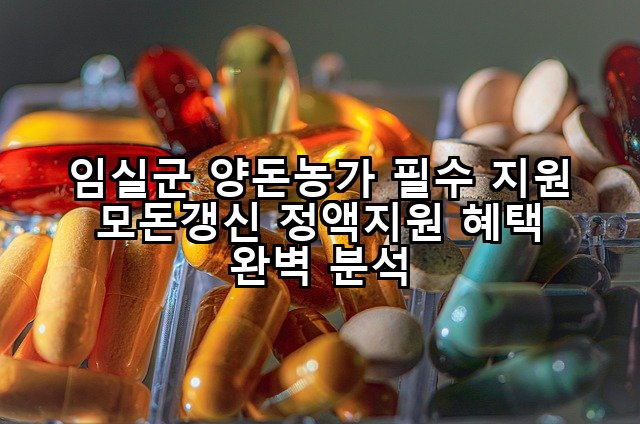 임실군 양돈농가 필수 지원 모돈갱신 정액지원 혜택 완벽 분석