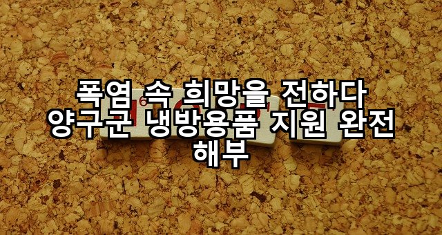 폭염 속 희망을 전하다 양구군 냉방용품 지원 완전 해부