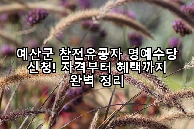 예산군 참전유공자 명예수당 신청! 자격부터 혜택까지 완벽 정리
